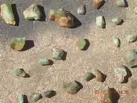 DSCN1479.webp