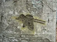 DSCN3192.webp