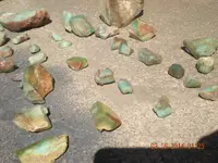 DSCN1480.webp
