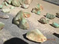 DSCN1481.webp