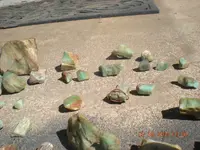 DSCN1483.webp