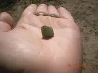 DSCN1485.webp