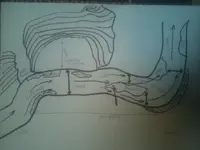 here.webp
