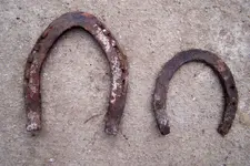 horse shoes.webp