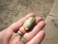 DSCN1490.webp