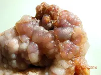 DSCN6084.webp