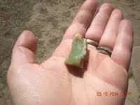 DSCN1491.webp