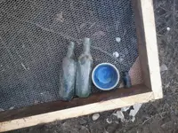 140310_002.webp