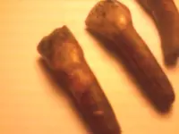 140310_008.webp