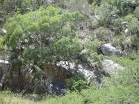086.webp
