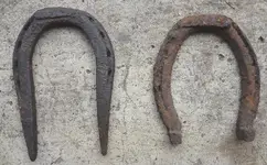 horseshoes.webp