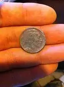 Buffalo Nickel head.webp