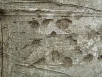 DSCN3167.webp