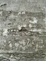 DSCN3170.webp
