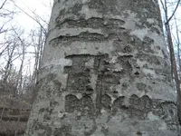DSCN3186.webp