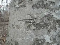DSCN3188.webp