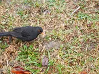 005.webp