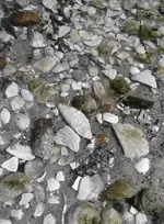 ForumRunner_20140207_104109.webp