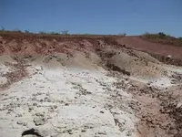 dirt.webp