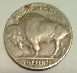 30S buffalo rev.webp