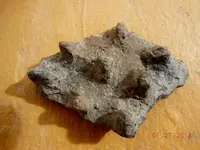 DSCN5077.webp
