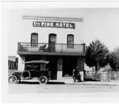 Pine.webp