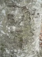 DSCN3164.webp