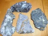DSC00190.webp
