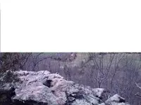 KINGMINE1 016.55.webp