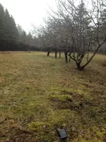 image-603703840.webp