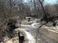 DSCF2080.webp