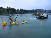 DSCN3541.webp