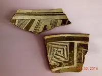 DSCN5331.webp