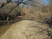 DSCF2081.webp