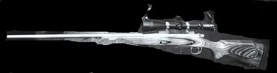 Remington700LSS.webp