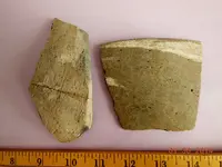 DSCN5339.webp