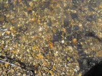 DSCF2082.webp