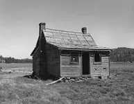 BEN DONY CABIN ARIZONIA.webp