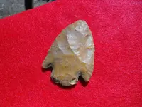 DSCF2098.webp