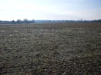 SDC10368.webp