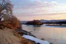 G River 2.webp