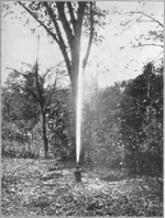 Fig-5-One-of-the-several-spouting-springs-in-Geyser-Park.webp