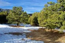rest stop 1.webp