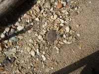SDC10392.webp