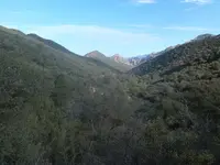 Canyon.webp