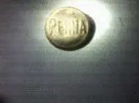 PennaButton - Copy.webp