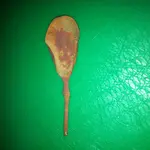 old spoon 001.webp