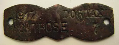 Monrtose CO 1917.webp