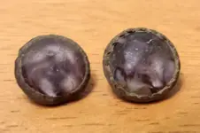 purple glass buttons.webp
