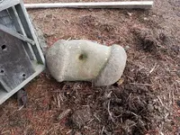 rock.webp